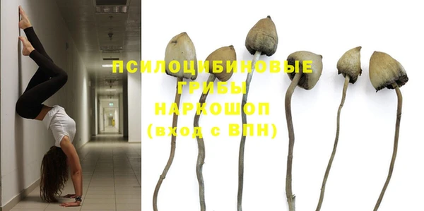 таблы Белокуриха