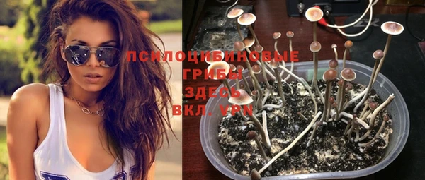 таблы Белокуриха