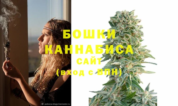 таблы Белокуриха
