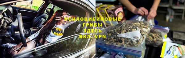 мдпв Беломорск
